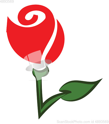 Image of Rose icon, vector or color illustration.
