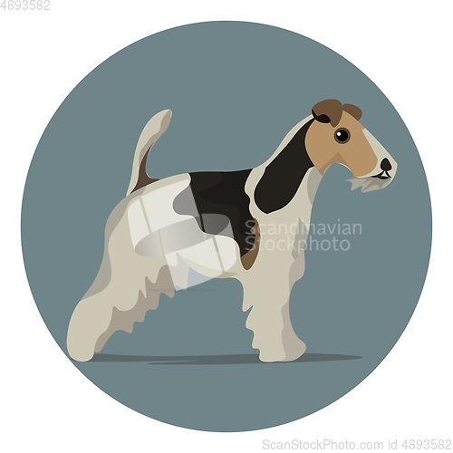 Image of  A color illustration of a wire fox terrier dog, vector or color
