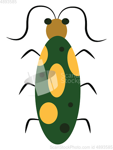 Image of Green and yellow bug, vector or color illustration.
