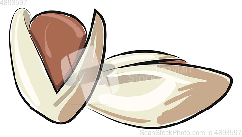 Image of Peanuts in shell, vector or color illustration.