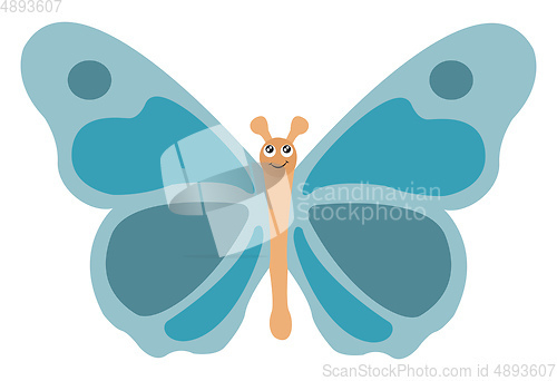 Image of Image of blue butterfly, vector or color illustration.