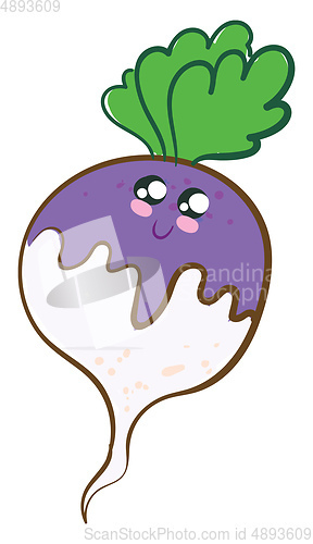 Image of Image of cute turnip, vector or color illustration.