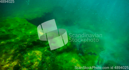 Image of Underwater landscape in the sea.