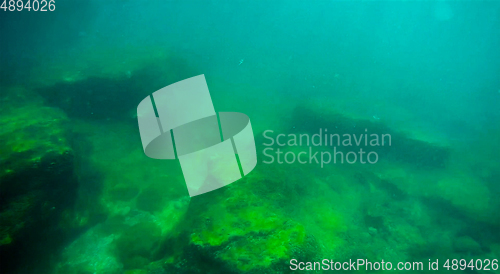 Image of Underwater landscape in the sea.