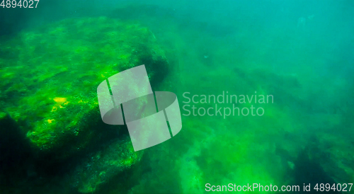 Image of Underwater landscape in the sea.