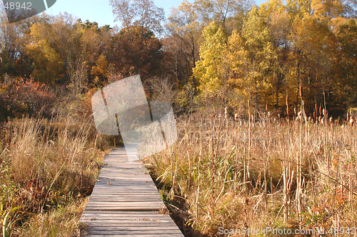 Image of wilderness ramp 189