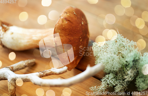 Image of boletus mushrooms, moss, branch and bark on wood