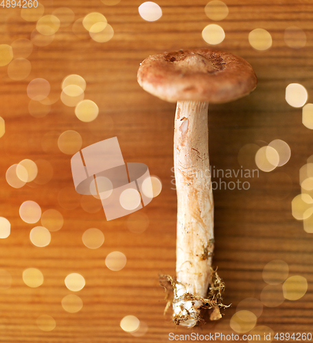 Image of lactarius rufus mushroom on wooden background