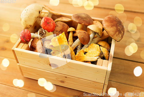 Image of wooden box of different edible mushrooms