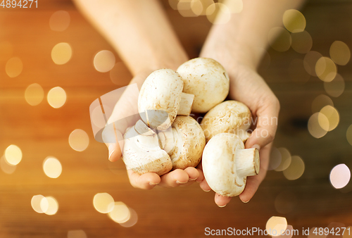 Image of close up of female hands holding champignons