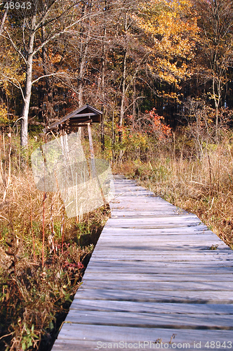 Image of wilderness ramp 190