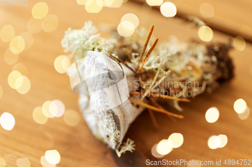 Image of hydnellum fungus on wooden background