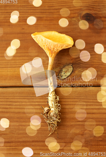 Image of chanterelles on wooden background