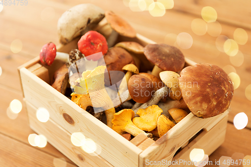 Image of wooden box of different edible mushrooms