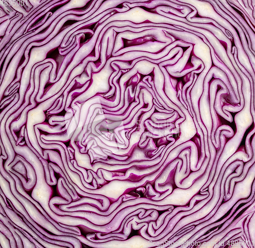 Image of purple cabbage texture