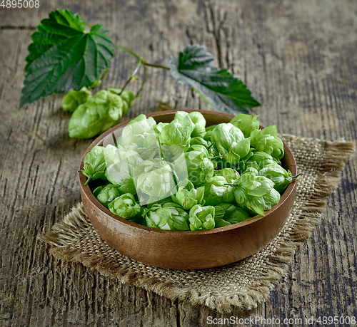 Image of bowl of fresh green hop plant cones