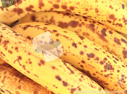 Image of Bananas