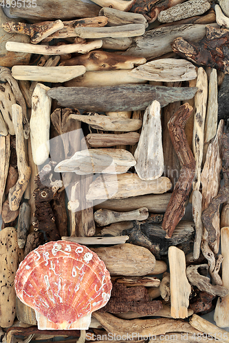 Image of Driftwood and Scallop Shell Abstract Seaside Art  