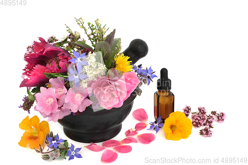 Image of Fresh Flowers and Herbs for Essential Oil