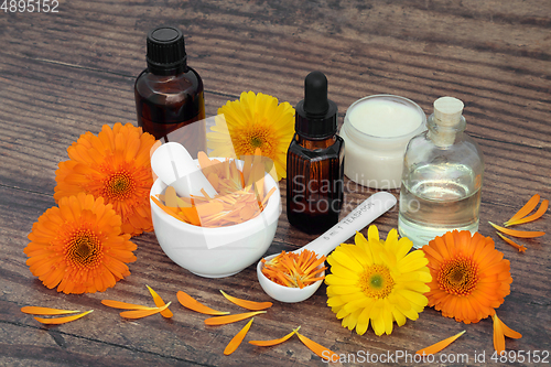 Image of Calendula Flowers for Aromatherapy Essential Oil