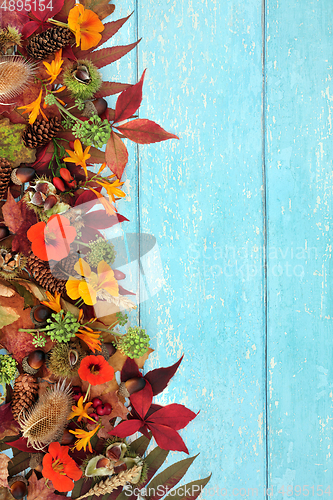 Image of Natural Flora and Fauna Background for Fall