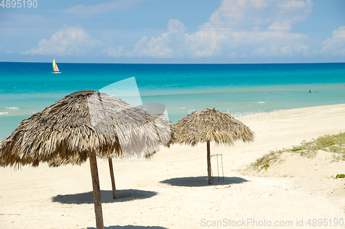 Image of Parasols on tropical beach