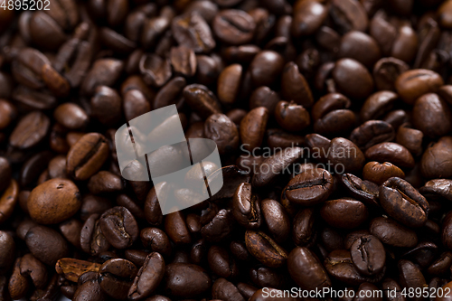 Image of Coffee bean