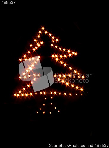Image of xmas tree