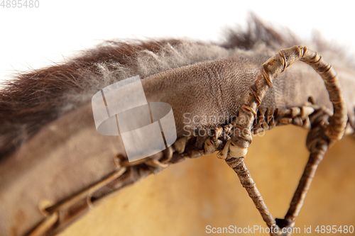 Image of A close up of hands playing the tambourine, percussion on white studio background