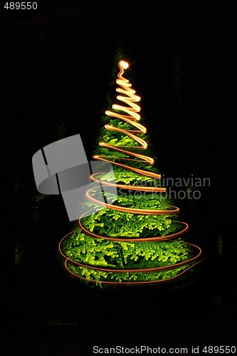 Image of xmas tree