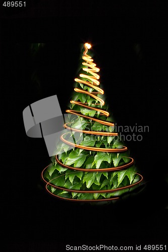 Image of xmas tree