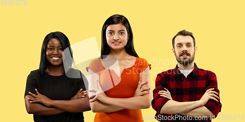 Image of Group portrait of emotional people on yellow studio background