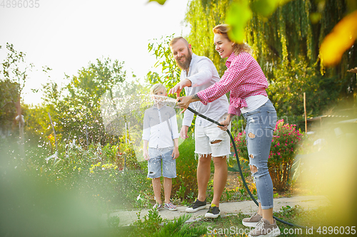 Image of Happy family during watering plants in a garden outdoors. Love, family, lifestyle, harvest concept.