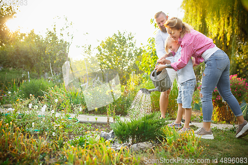 Image of Happy family during watering plants in a garden outdoors. Love, family, lifestyle, harvest concept.