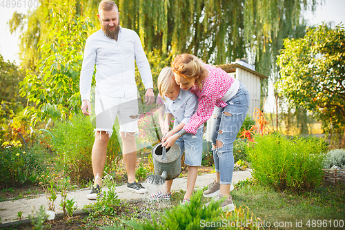 Image of Happy family during watering plants in a garden outdoors. Love, family, lifestyle, harvest concept.