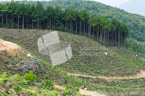 Image of Natural landscape and field