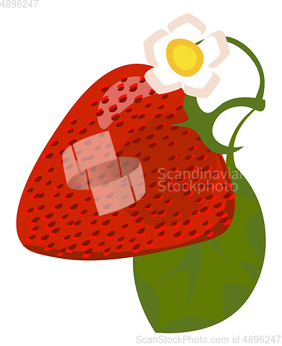 Image of Clipart of a charming red strawberry and a jasmine flower with a