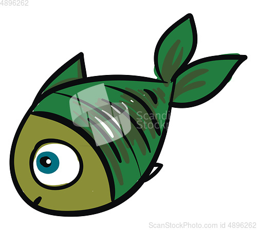 Image of Green fish, vector or color illustration.