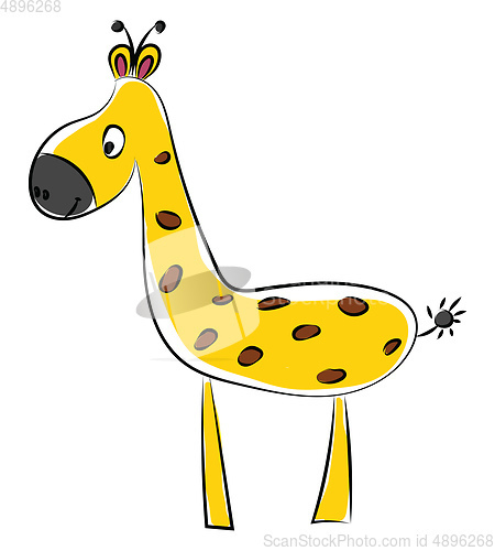 Image of Giraffe, vector or color illustration.