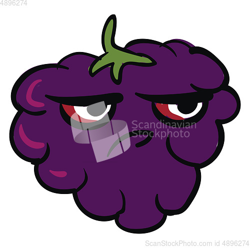 Image of Image of angry blackberry, vector or color illustration.