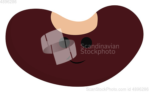 Image of Image of bean, vector or color illustration.