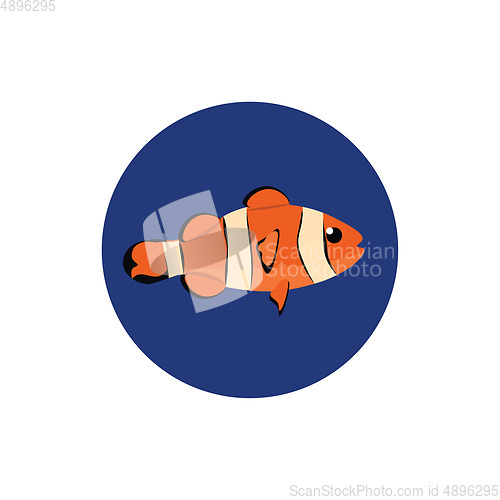 Image of Image of clownfish, vector or color illustration.