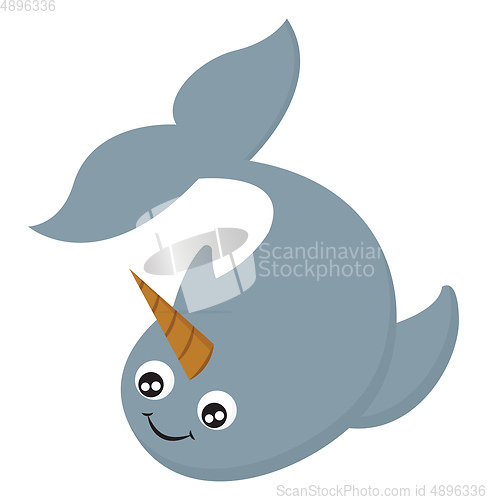 Image of Narwhal, vector or color illustration.