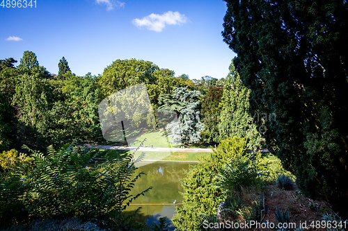 Image of Pond in Buttes-Chaumont Park, Paris