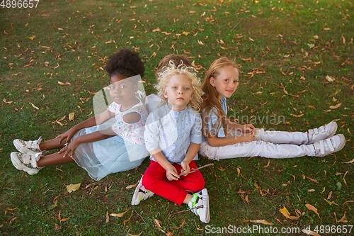 Image of Interracial group of kids, girls and boys playing together at the park in summer day