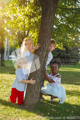 Image of Interracial group of kids, girls and boys playing together at the park in summer day