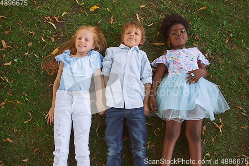 Image of Interracial group of kids, girls and boys playing together at the park in summer day