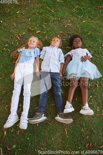 Image of Interracial group of kids, girls and boys playing together at the park in summer day