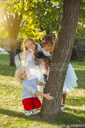 Image of Interracial group of kids, girls and boys playing together at the park in summer day