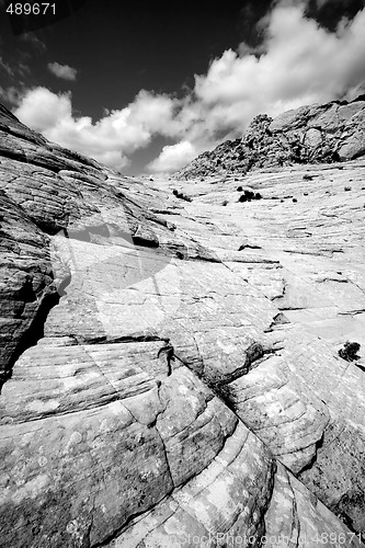 Image of Looking up the Sandstones in Snow Canyon - Utah